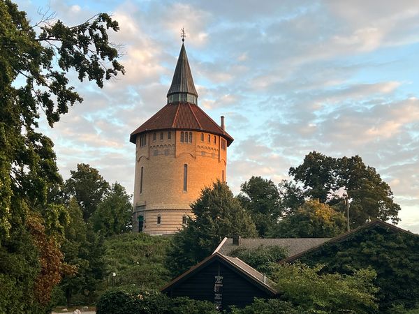 Grüne Oase der Ruhe