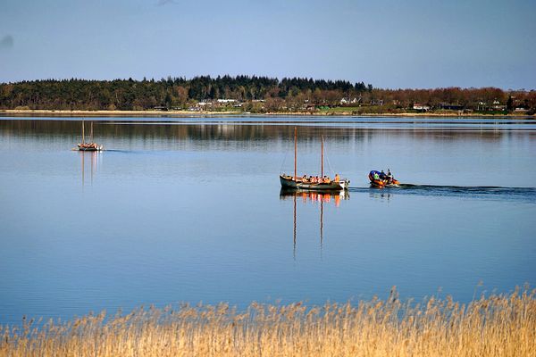 Bildung und Geschichte vereint