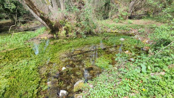 Naturwunder mit klarem Quellwasser