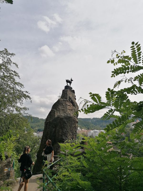 Naturblick mit Legende