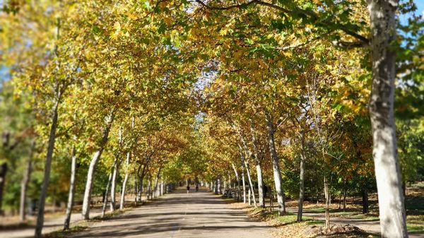 Madrids riesiger Park für Outdoor-Aktivitäten