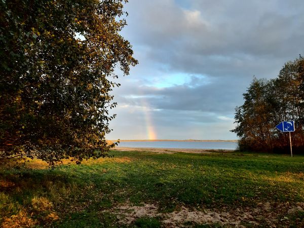 Windsurfen am malerischen Surfstrand Mardorf