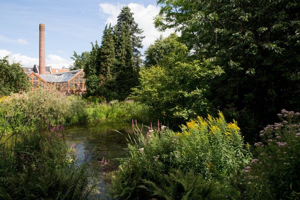 Ruhige Gartenidylle in der Stadt