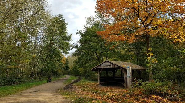 Naturerlebnisse im Königsdorfer Wald