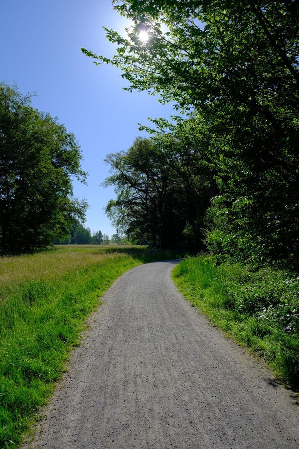 Natur pur am Stadtrand