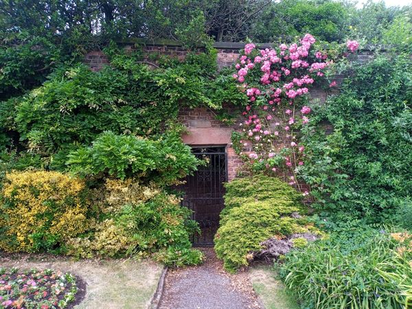 Verstecktes Gartenparadies in Woolton