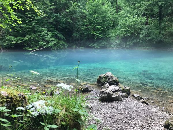 Natur pur neben dem Strand