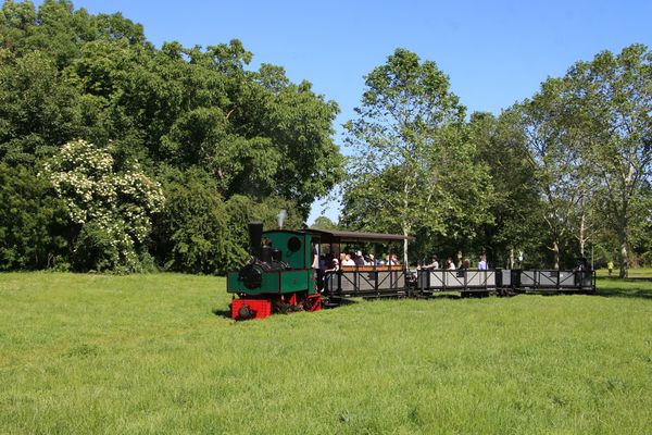 Eintauchen in die Welt der Feldbahnen