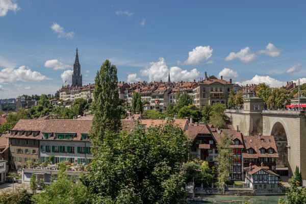 Bären in Bern besuchen