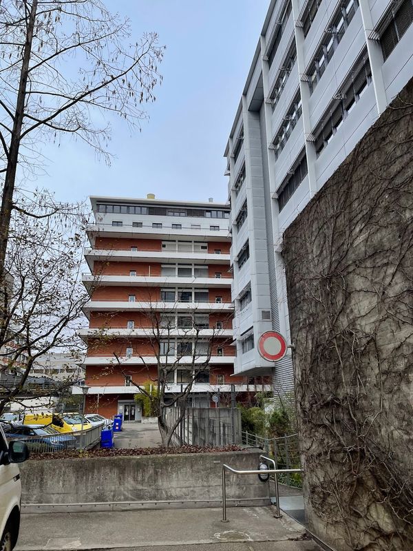 Entspannung pur am Zürichsee