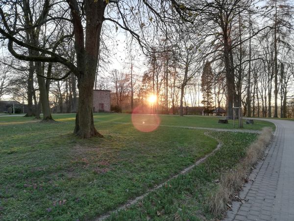 Historisches Flair über Marburg