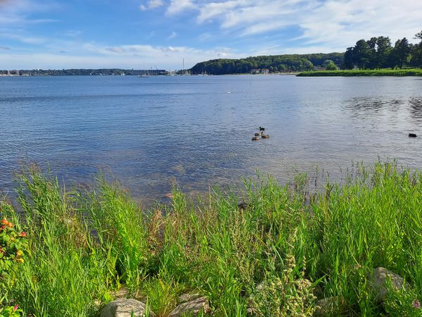 Zu Fuß nach Dänemark