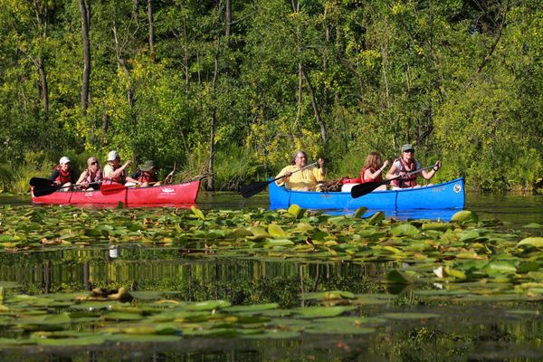 Paddelabenteuer im Herzen der Natur