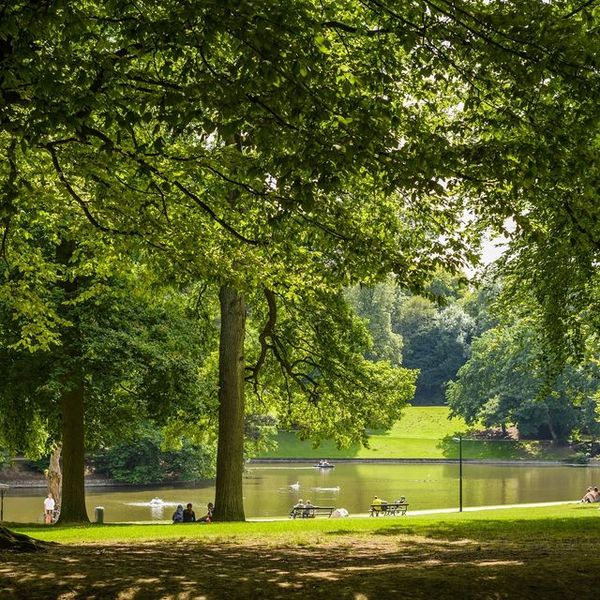 Geheime Insel im Stadtpark entdecken