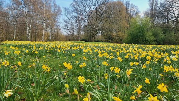 Perfekt für ein Picknick im Grünen