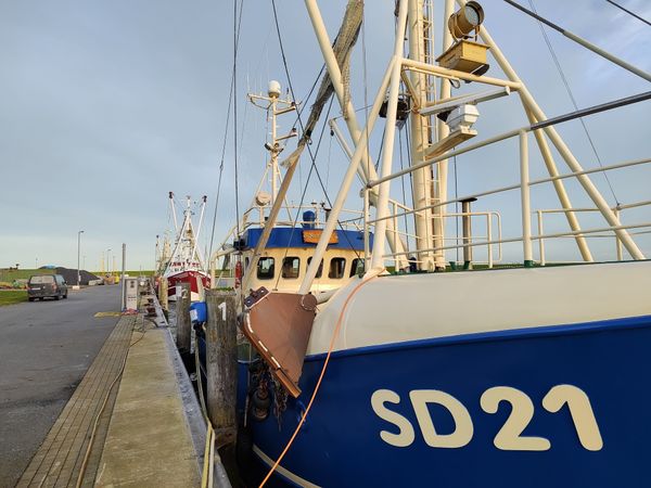 Musik und Meer bei einem Strandkonzert