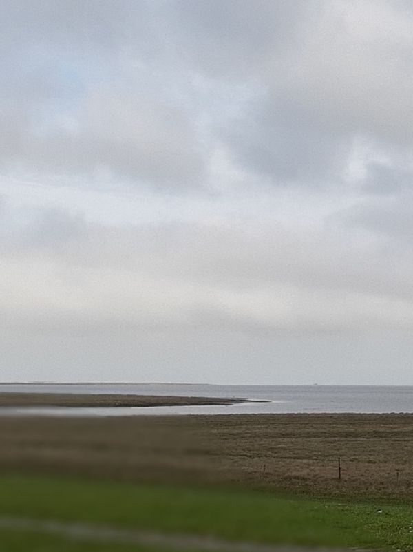 Naturschutzgebiet mit reicher Vogelwelt