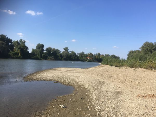 Natur pur am Mures Fluss