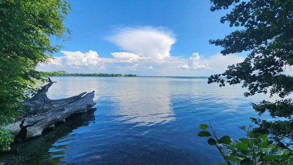 Paradies für Vogelbeobachter