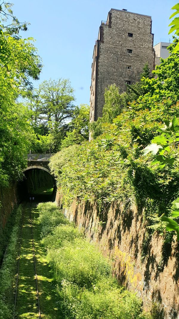 Romantischer Spaziergang