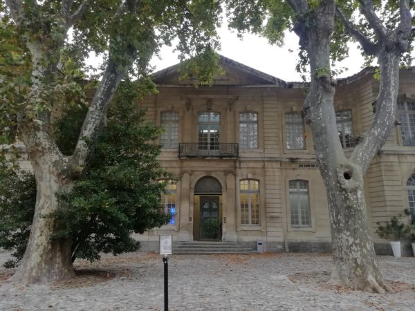 Zeitgenössische Kunst in Avignon