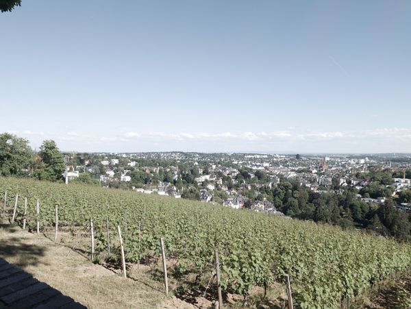 Aussicht genießen & Natur erkunden