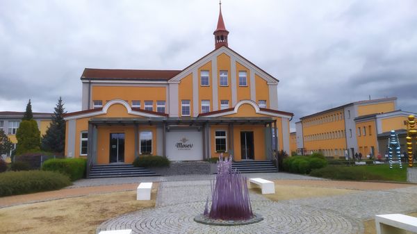 Kunstvolles Glaswerk bestaunen