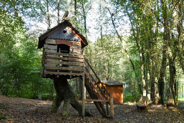 Naturerlebnis im Bärenschutzzentrum