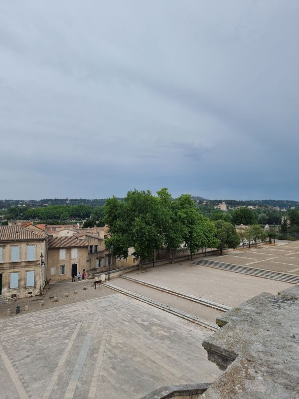 Fotogene Momente am Palais des Papes