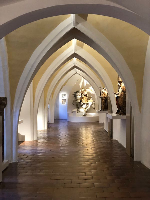 Entdecke die Geheimnisse des Wöhrsees