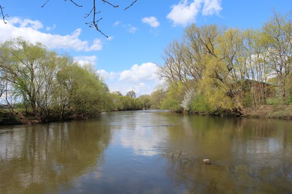 Natur pur am Stadtrand