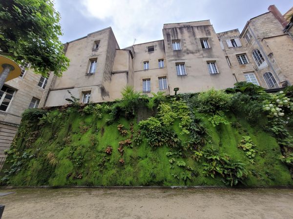 Grüne Oase in der Stadt