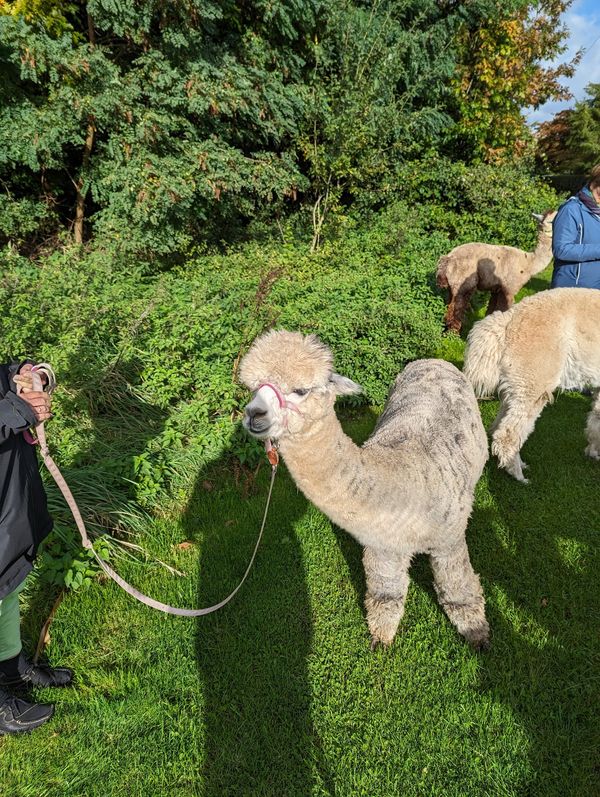 Kurztrip mit Kuschelfaktor