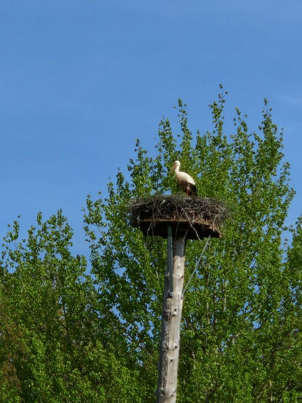 Natur erleben und verstehen