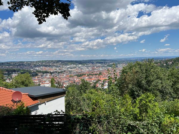 Genieße Wein & Aussicht auf idyllischen Pfaden