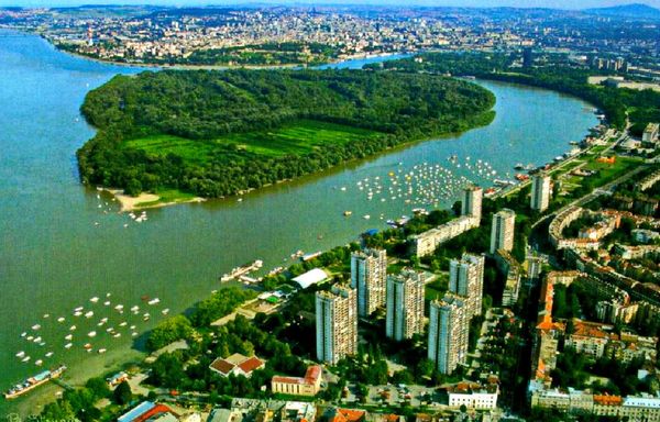 Unberührte Natur mitten in der Donau