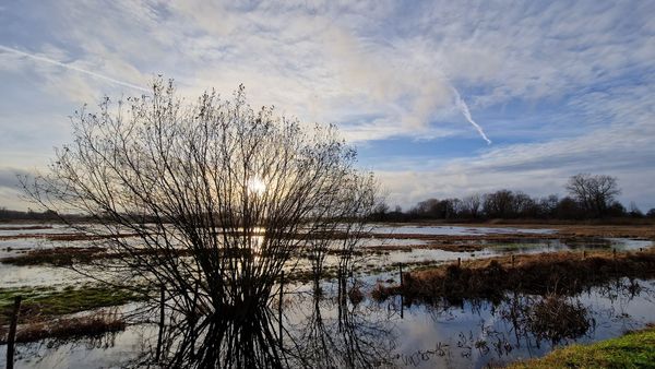 Natur pur am Stadtrand