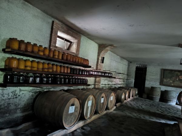 8000 Jahre Weinbaukultur erleben