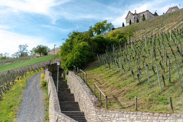 Weinberg mit Tradition und Aussicht