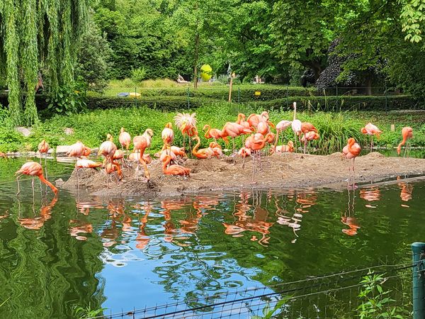 Tierische Abenteuer für die ganze Familie