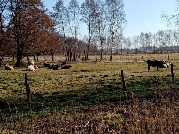 Abenteuer Natur für Neugierige