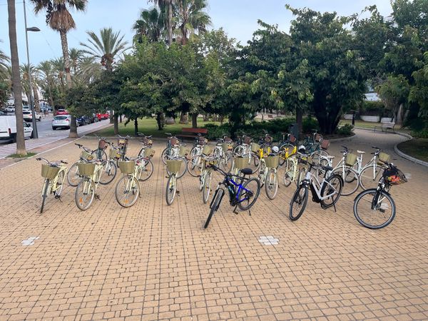 Stadterkundung mit dem E-Bike