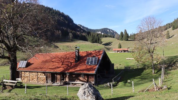 Übernachte fast wie im Baumhaus