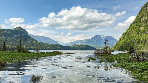 Idyllische Ruhe am Bergsee