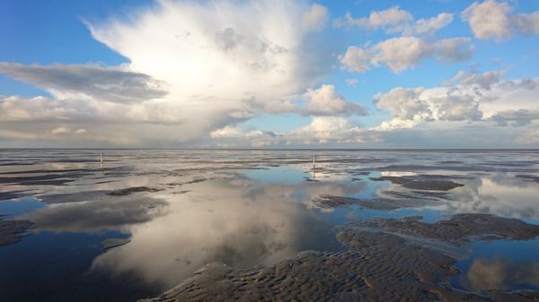 Spannende Wattwanderung erleben