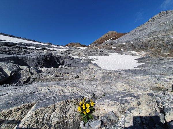 Atemberaubende Bergkulisse erwandern