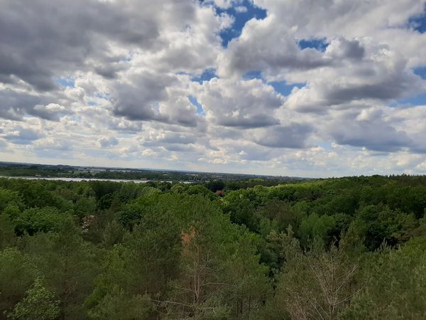 Panoramablick über Güstrows Natur