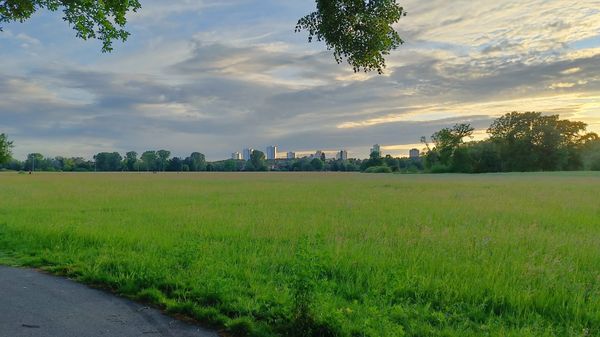 Naturerlebnis am Stadtrand