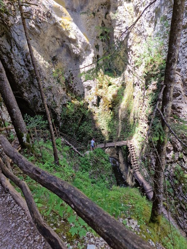 Mystische Brücke in der Natur