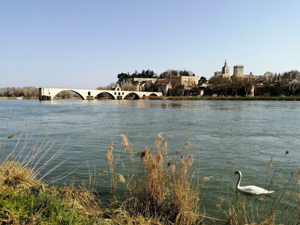 Natur pur direkt vor der Stadt